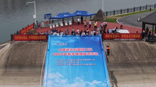 大藤峡工程开展2026年首次鱼类增殖放流 自主繁育鱼苗投放数量创新高