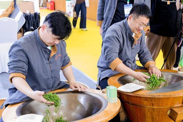 第二十届北京茶博会开幕 聚焦产销对接与茶产业高质量发展
