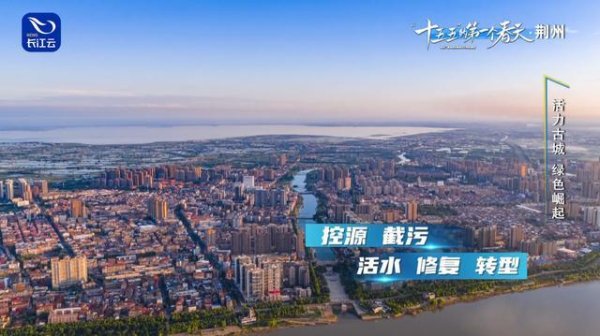 一吨“面粉”卖出800万，荆州的硬核密码