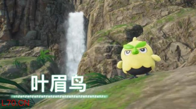 宝可梦风与波