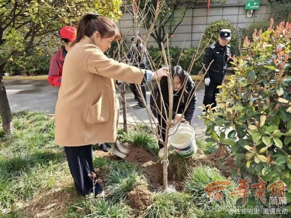 108坊故事|互助社区开展集中植树活动