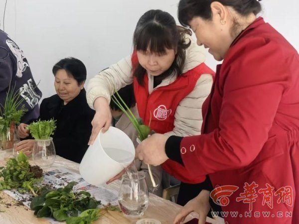 108坊故事|这个植树节 府院社区居民把废旧瓶子改造成“小菜园”
