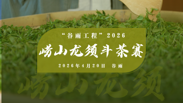 2026崂山龙须斗茶赛成功举办