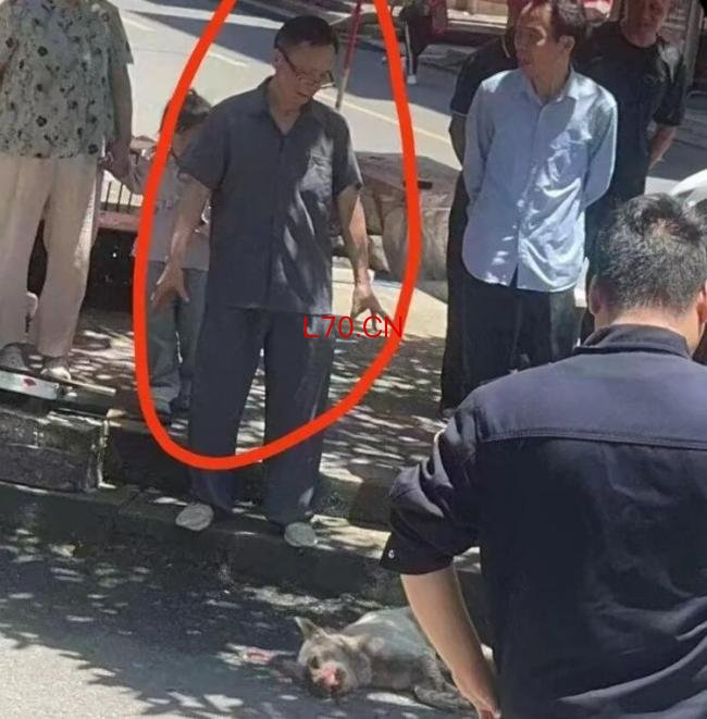 湖南多人连续4小时遭同一只狗咬伤 6岁女童受伤住院