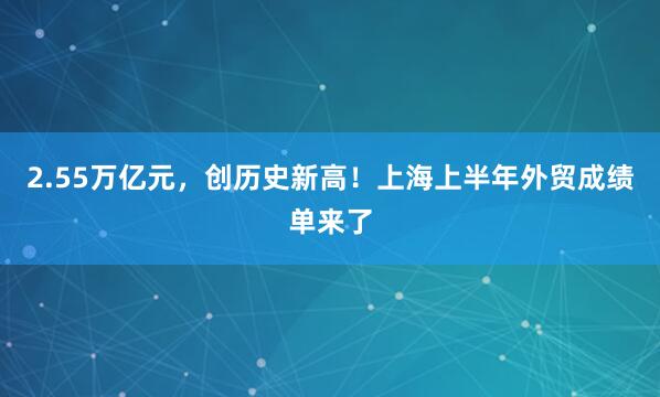 2.55万亿元，创历史新高！上海上半年外贸成绩单来了