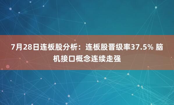 7月28日连板股分析:连板股晋级率37.5% 脑机接口概念连续走强