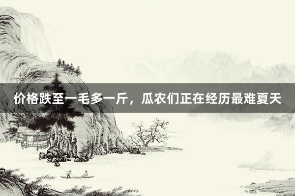价格跌至一毛多一斤，瓜农们正在经历最难夏天
