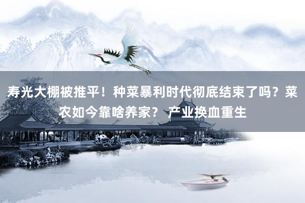 寿光大棚被推平！种菜暴利时代彻底结束了吗？菜农如今靠啥养家？ 产业换血重生
