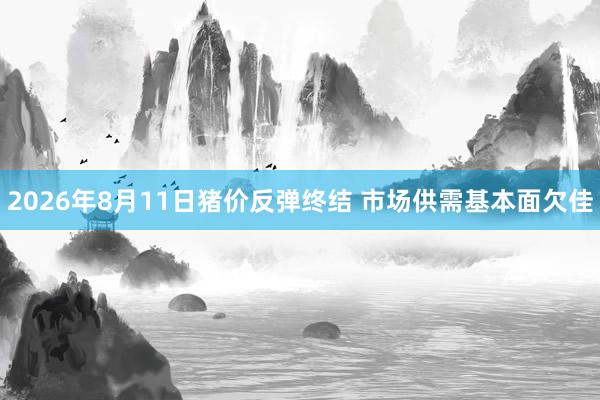 2026年8月11日猪价反弹终结 市场供需基本面欠佳
