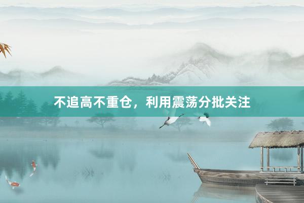 不追高不重仓，利用震荡分批关注