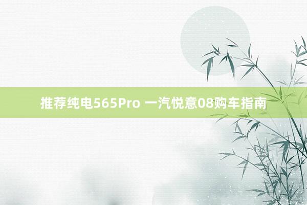 推荐纯电565Pro 一汽悦意08购车指南