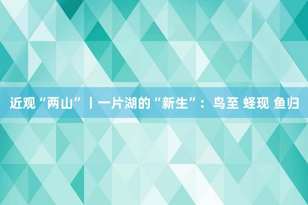 近观“两山”丨一片湖的“新生”：鸟至 蛏现 鱼归