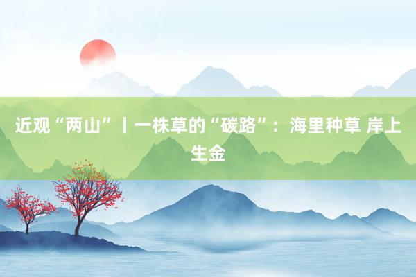 近观“两山”丨一株草的“碳路”：海里种草 岸上生金