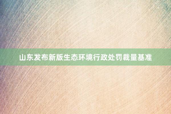 山东发布新版生态环境行政处罚裁量基准