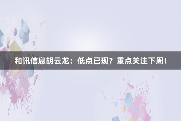和讯信息胡云龙：低点已现？重点关注下周！