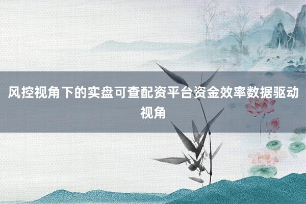 风控视角下的实盘可查配资平台资金效率数据驱动视角