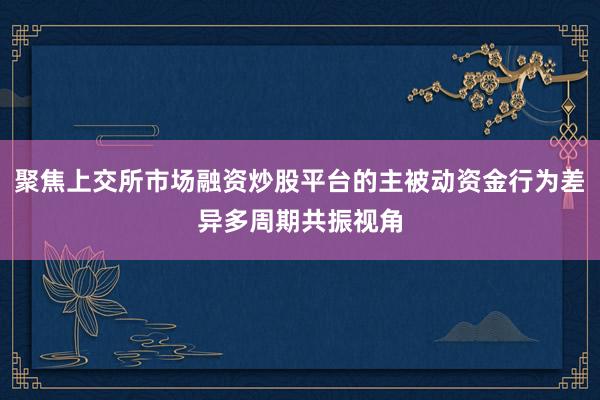 聚焦上交所市场融资炒股平台的主被动资金行为差异多周期共振视角
