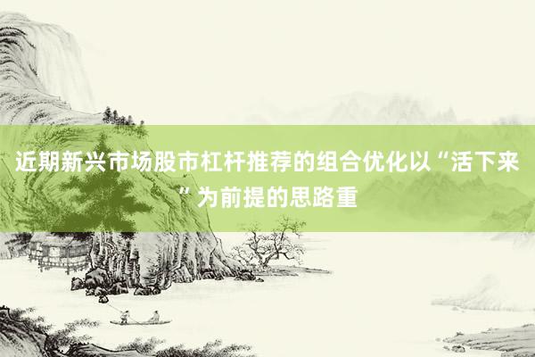 近期新兴市场股市杠杆推荐的组合优化以“活下来”为前提的思路重
