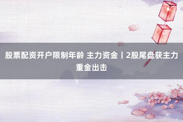 股票配资开户限制年龄 主力资金丨2股尾盘获主力重金出击