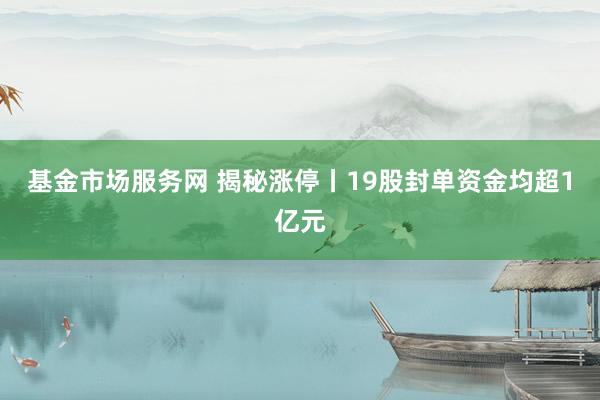 基金市场服务网 揭秘涨停丨19股封单资金均超1亿元