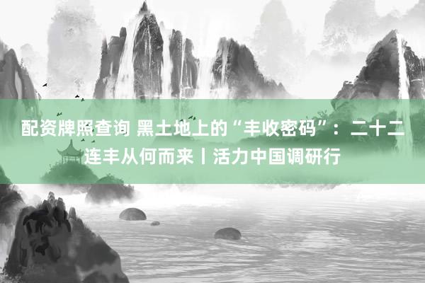 配资牌照查询 黑土地上的“丰收密码”：二十二连丰从何而来丨活力中国调研行