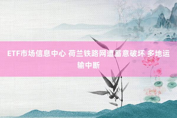ETF市场信息中心 荷兰铁路网遭蓄意破坏 多地运输中断