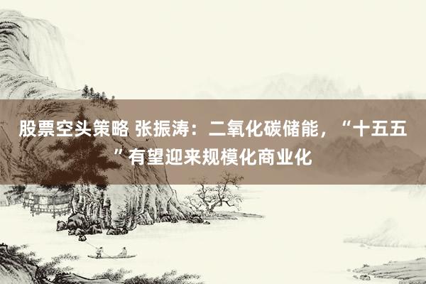 股票空头策略 张振涛：二氧化碳储能，“十五五”有望迎来规模化商业化