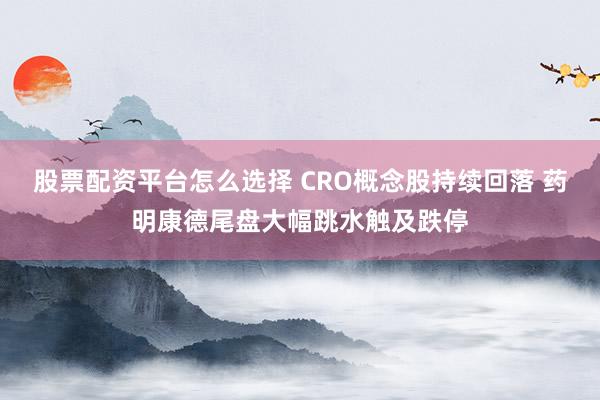 股票配资平台怎么选择 CRO概念股持续回落 药明康德尾盘大幅跳水触及跌停
