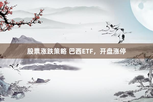 股票涨跌策略 巴西ETF，开盘涨停