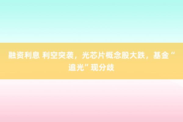 融资利息 利空突袭，光芯片概念股大跌，基金“追光”现分歧
